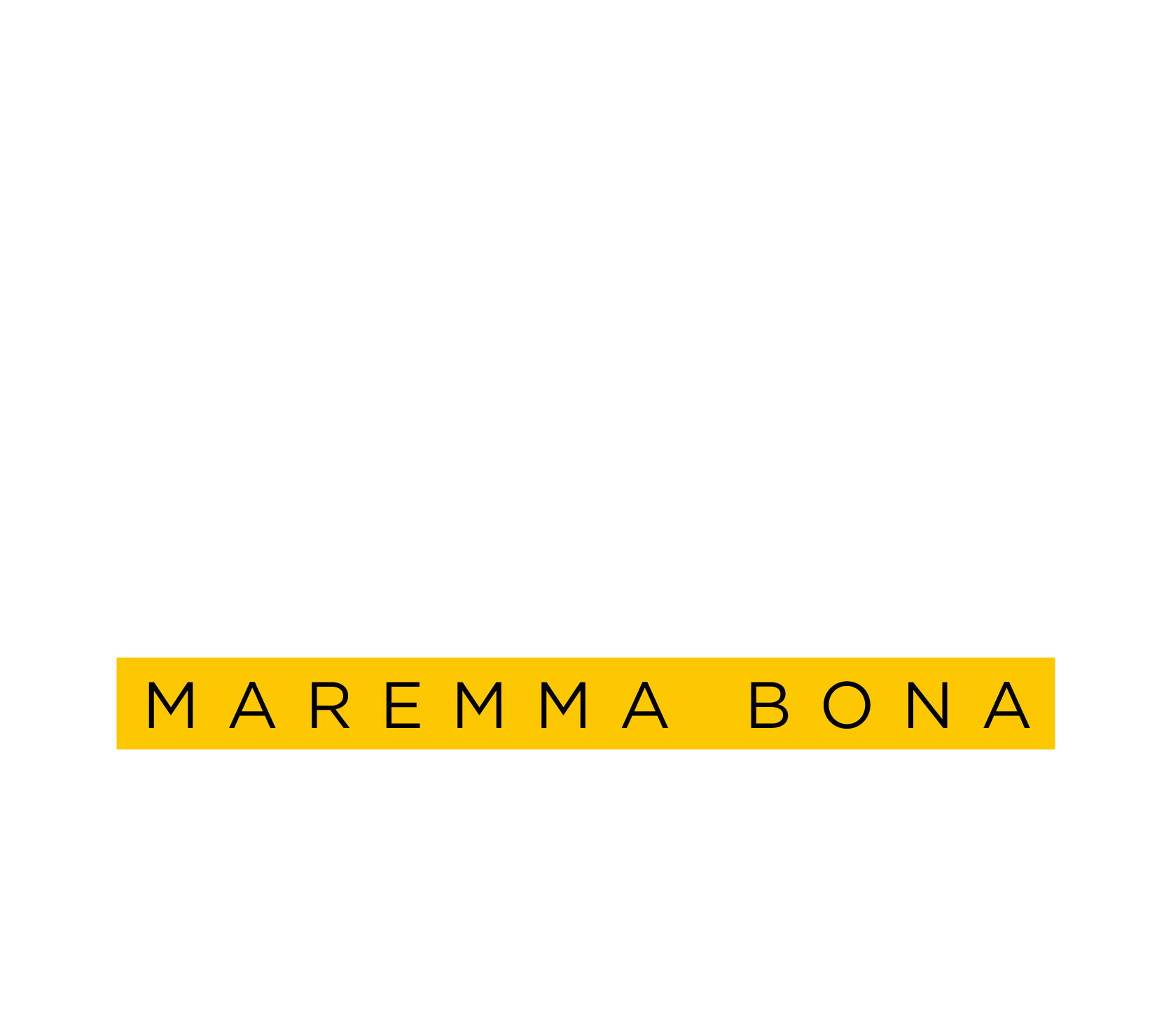 Billis Logo